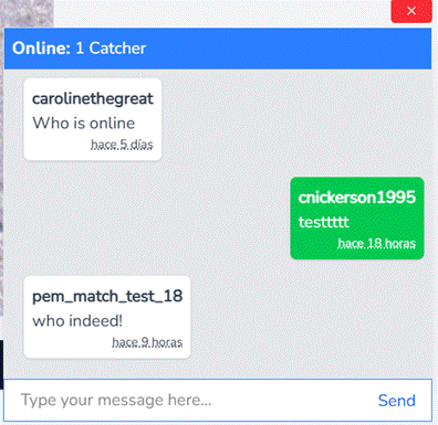 The chat window with online count, messages, and the message box.