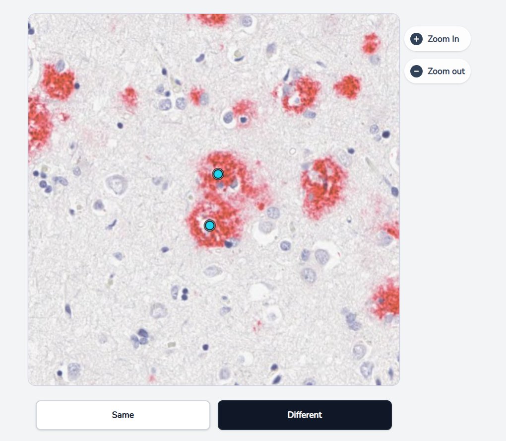 Two dots near each other, each centered on its own dense cluster.